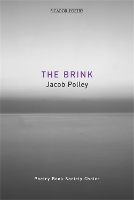 Book Cover for The Brink by Jacob Polley