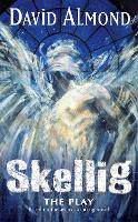 Book Cover for Skellig The Play by David Almond