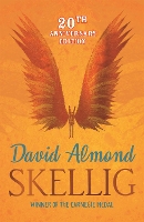 Book Cover for Skellig by David Almond