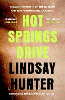 Book Cover for Hot Springs Drive by Lindsay Hunter