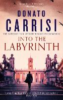 Book Cover for Into the Labyrinth by Donato Carrisi