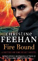 Book Cover for Fire Bound by Christine Feehan