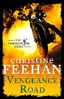 Book Cover for Vengeance Road by Christine Feehan