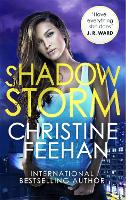 Book Cover for Shadow Storm by Christine Feehan