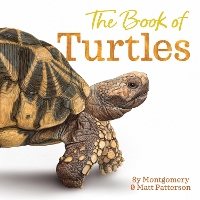 Book Cover for The Book of Turtles by Sy Montgomery