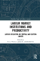 Book Cover for Labour Market Institutions and Productivity by Beata WoniakJchorek