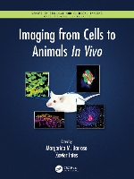 Book Cover for Imaging from Cells to Animals In Vivo by Margarida Barroso