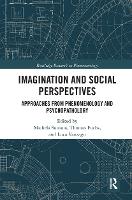 Book Cover for Imagination and Social Perspectives by Michela Summa