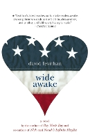 Book Cover for Wide Awake by David Levithan