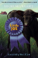Book Cover for Little Joe by Sandra Neil Wallace
