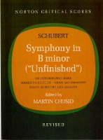 Book Cover for Symphony in B Minor (