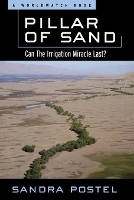 Book Cover for Pillar of Sand by Sandra Postel