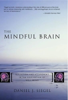 Book Cover for The Mindful Brain by Daniel J., M.D. (Mindsight Institute) Siegel