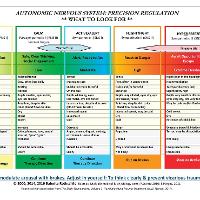 Book Cover for Autonomic Nervous System Table: Laminated Card by Babette Rothschild