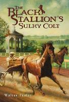 Book Cover for The Black Stallion's Sulky Colt by Walter Farley