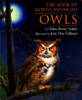 Book Cover for Book of North American Owls by Helen Roney Sattler, Jean Day Zallinger