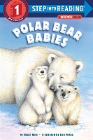 Book Cover for Polar Bear Babies by Susan Ring