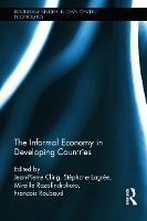 Book Cover for The Informal Economy in Developing Countries by Jean-Pierre Cling