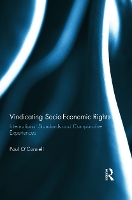 Book Cover for Vindicating Socio-Economic Rights by Paul O'Connell