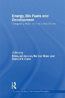 Book Cover for Energy, Bio Fuels and Development by Edmund Amann