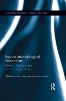 Book Cover for Beyond Methodological Nationalism by Anna Amelina