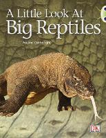 Book Cover for Bug Club Guided Non Fiction Year 1 Blue B A Little Look at Big Reptiles by Pauline Cartwright