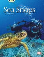 Book Cover for Bug Club Independent Non Fiction Year 1 Green A Sea Snaps by Diana Noonan