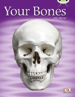 Book Cover for Your Bones by Amy Hunter