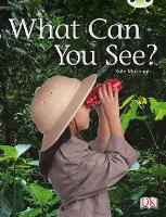 Book Cover for What Can You See? by Kate McGough