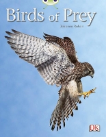 Book Cover for Bug Club Independent Non Fiction Year Two White A Birds of Prey by Johanna Rohan