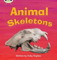 Book Cover for Bug Club Phonics - Phase 5 Unit 17: Animal Skeletons by Paul Shipton