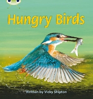 Book Cover for Bug Club Phonics - Phase 5 Unit 23: Hungry Birds by Vicky Shipton