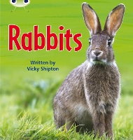 Book Cover for Bug Club Phonics - Phase 5 Unit 27: Rabbits by Vicky Shipton