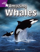 Book Cover for Rigby Star Independent Year 2 Purple Non Fiction: Amazing Whales Single by 