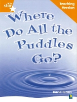 Book Cover for Where Do All the Puddles Go? by David Tunkin