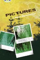 Book Cover for Pictures by Linda Aksomitis