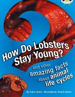 Book Cover for Bug Club Independent Non Fiction Year 3 Brown A How Do Lobsters Stay Young? by Jillian Powell