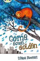 Book Cover for Bug Club Independent Fiction Year 3 Brown A Come Down, Golden by Diana Noonan