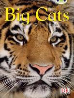 Book Cover for BC NF Brown B/3B Big Cats by Sarah Walker