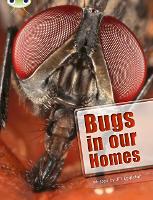 Book Cover for Bug Club Independent Non Fiction Year Two Lime A Bugs in our Homes by Jill Eggleton