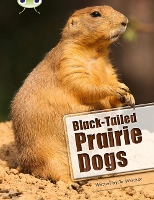 Book Cover for Bug Club Independent Non Fiction Year Two White B Black-tailed Prairie Dogs by Jo Windsor