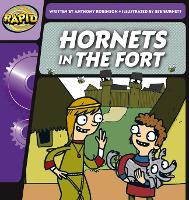 Book Cover for Hornets in the Fort by Anthony Robinson