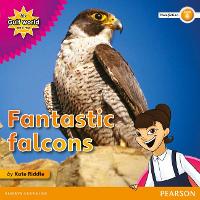 Book Cover for My Gulf World and Me Level 4 non-fiction reader: Fantastic falcons by Kate Riddle
