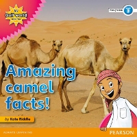 Book Cover for My Gulf World and Me Level 3 non-fiction reader: Amazing camel facts! by Kate Riddle