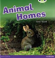 Book Cover for Animal Homes by Sarah Russell