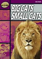 Book Cover for Rapid Reading: Big Cats Small Cats (Stage 1, Level 1A) by Dee Reid