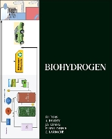 Book Cover for Biohydrogen by Ashok Pandey