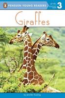 Book Cover for Giraffes by Jennifer Dussling