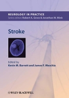 Book Cover for Stroke by Kevin M. Barrett