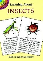 Book Cover for Learning About Insects by Sovak Sovak